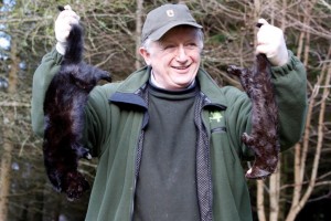 Ranger with a trapped mink