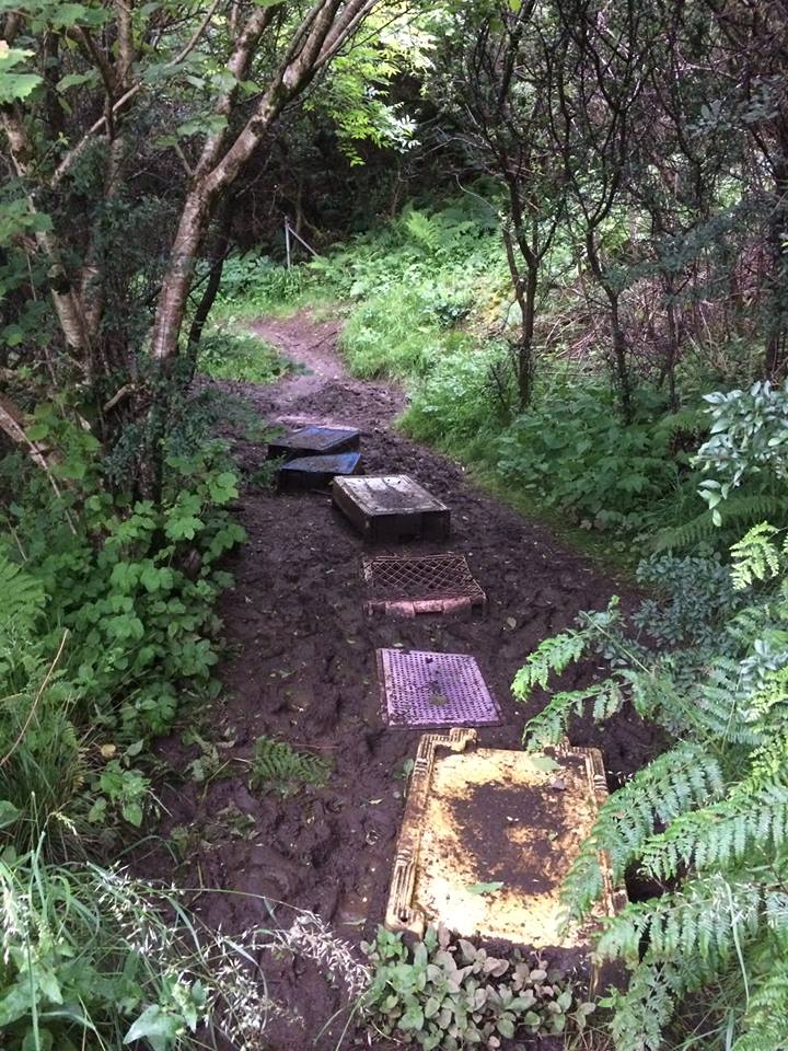 The path before the work